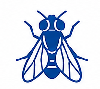 Flying Insect Management