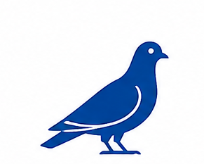 Bird Control