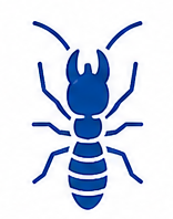Termite Control